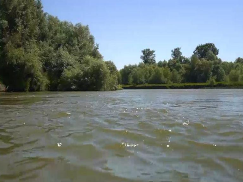 Barcă scufundată pe canalul Sulina după ce a fost lovită de un convoi fluvial. Doi pescari au fost aruncați în apă