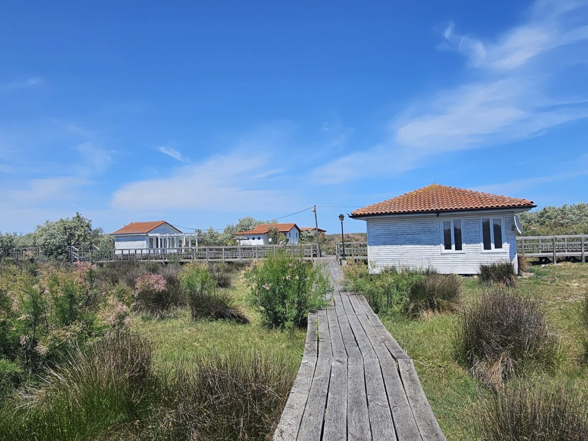 Lovitura din Delta Dunării: imperiul Militari Residence pune mâna pe plaja Sulina pentru 49 de ani