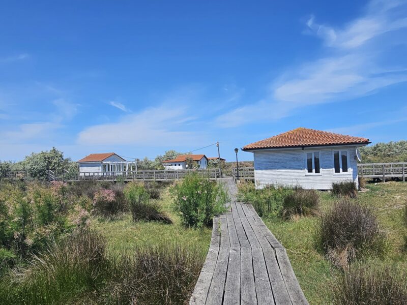 sulina casute concesiune