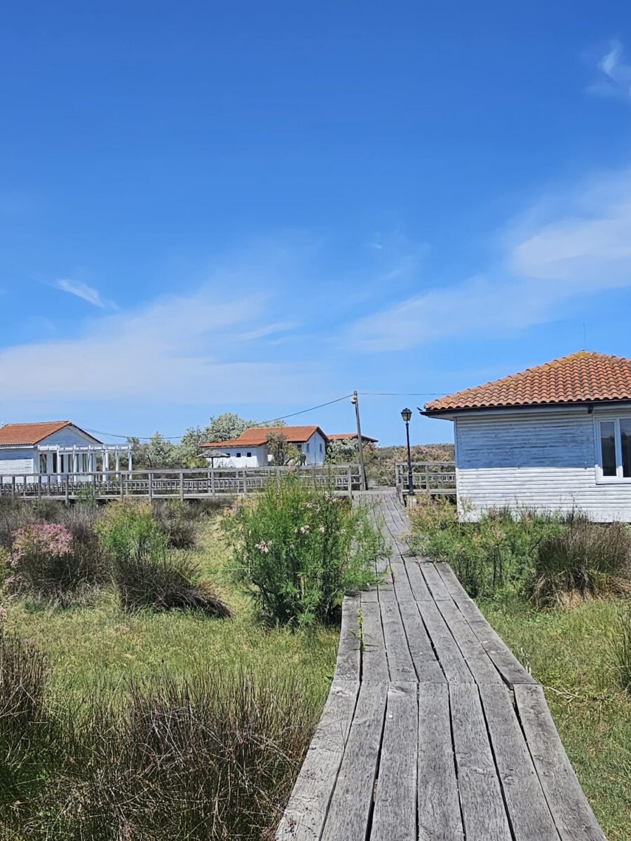 Lovitura din Delta Dunării: imperiul Militari Residence pune mâna pe plaja Sulina pentru 49 de ani