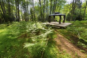 Gazebo at Orchard Recovery Center, photo copyright Jason Wilde