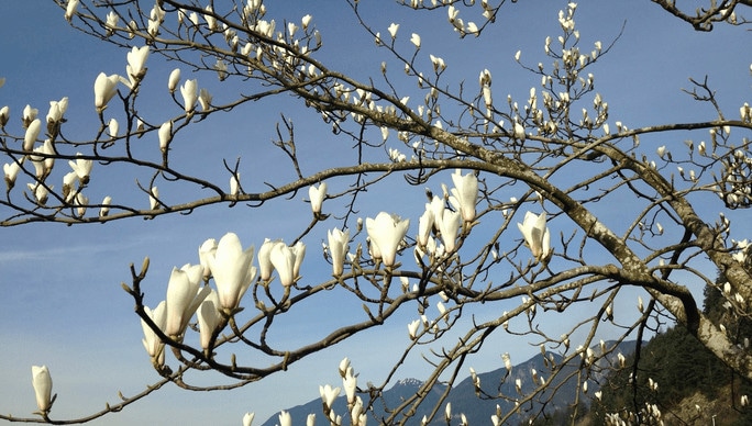 Neuroplasticity Anyone