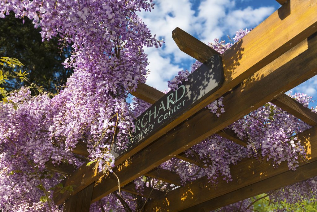 Orchard Recovery Center Addiction Treatment Admissions