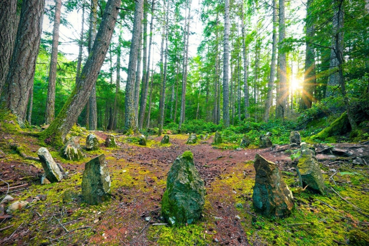 Group Therapy For Drug & Alcohol Addiction Recovery