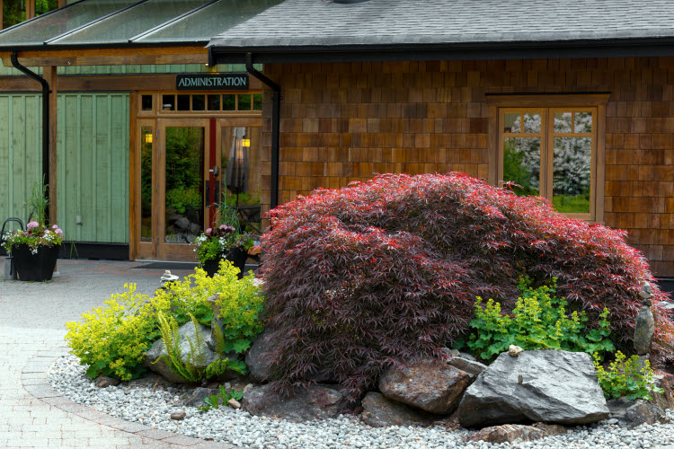 Orchard Recovery Center Administration Courtyard