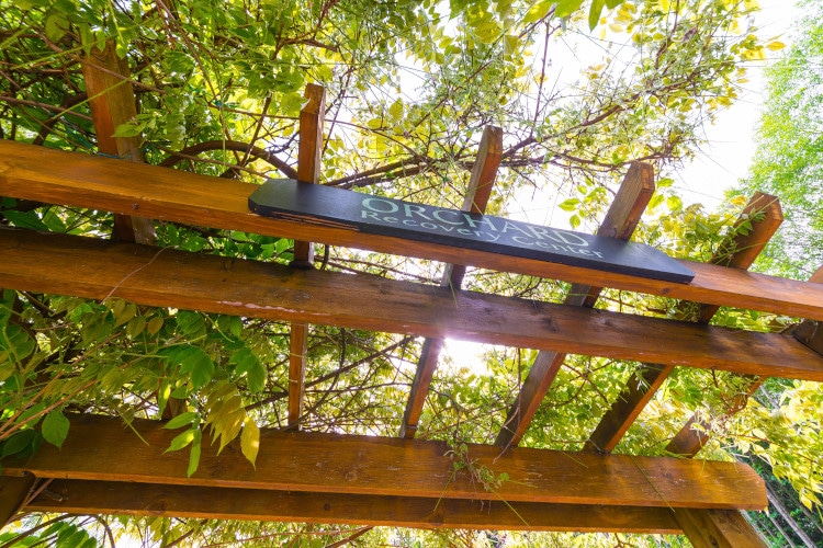 Orchard Recovery Center