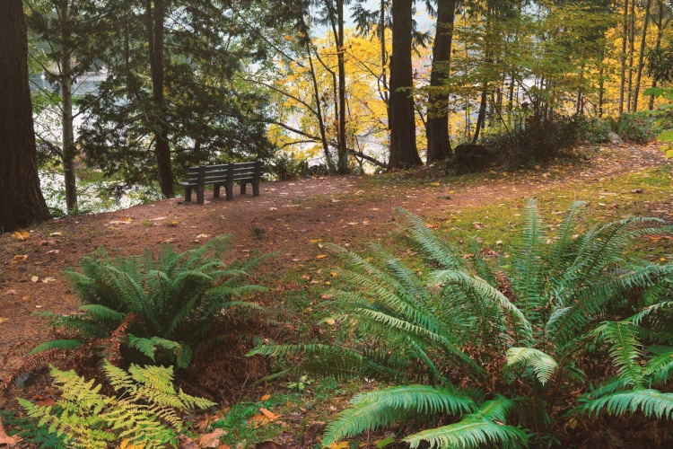 Walking trails on Bowen Island