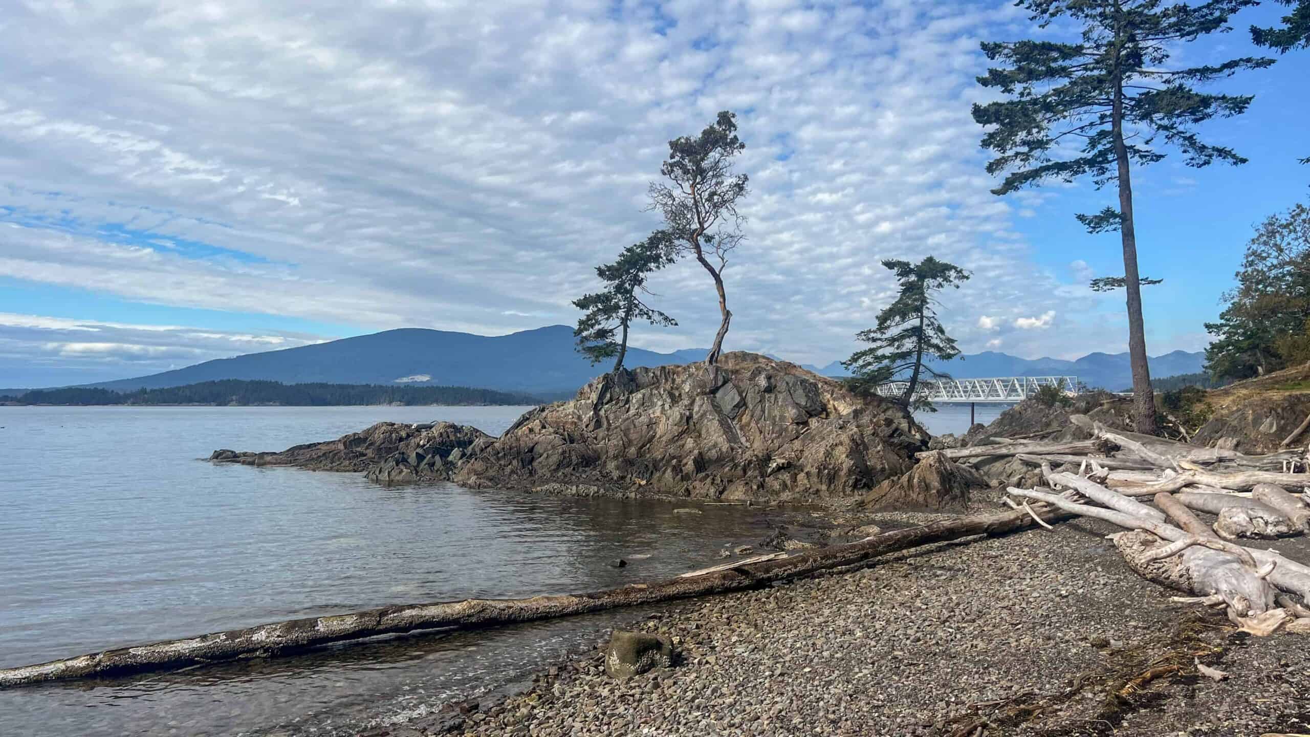 Nature Walk - Cape Roger Curtis Beach