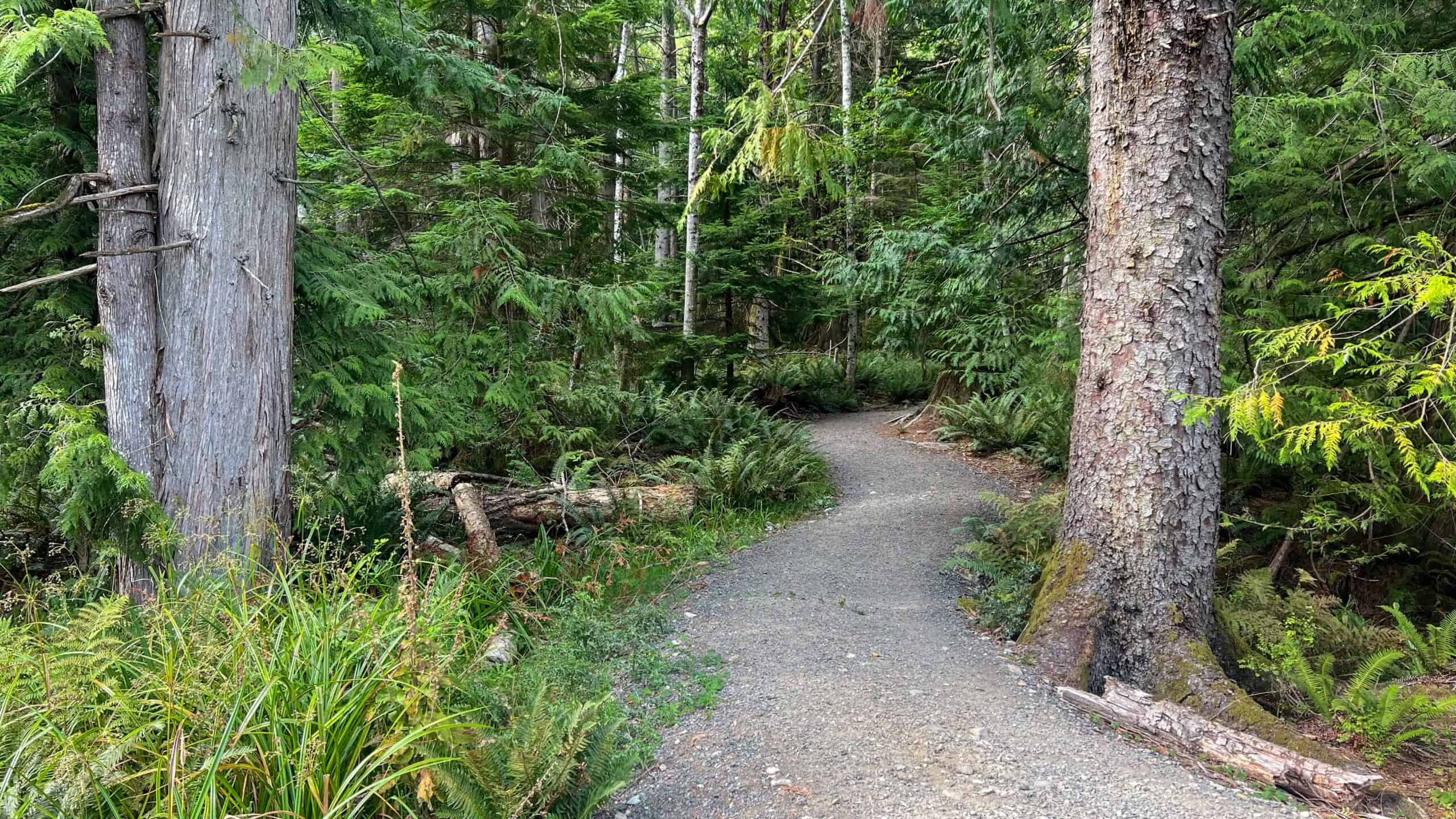 Nature Walk - Grafton Lake