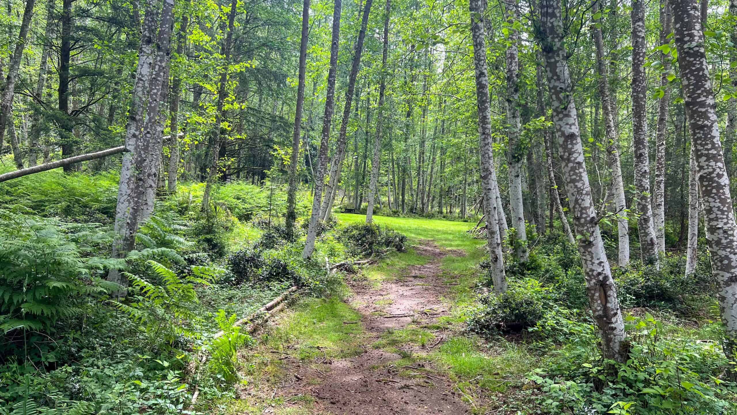 Meadow Entrance Trail