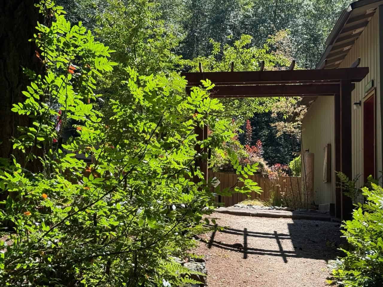 Green metal shingled building with Cypress above the door. A wooden trellis is over a gravel path. Trees and bushes are on the left and in the background.
