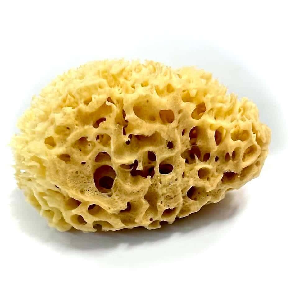 Naturschwamm Croll&Denecke M140