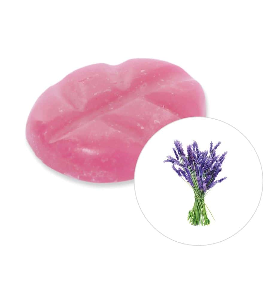 Duftchips - Scentchips  Lavendel   8 Stück in Box