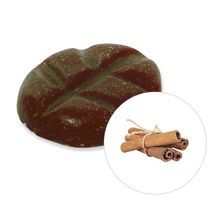 Duftchips - Scentchips  Zimt  8 Stück in Box