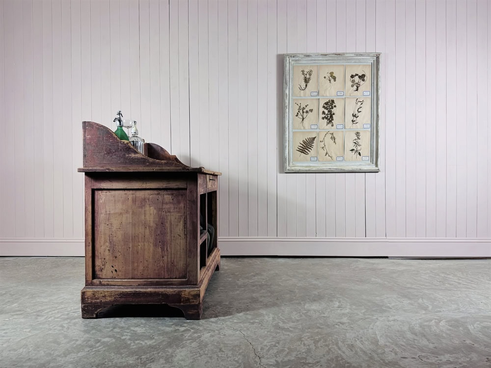 Framed Botanical Prints 1930s - Image 5