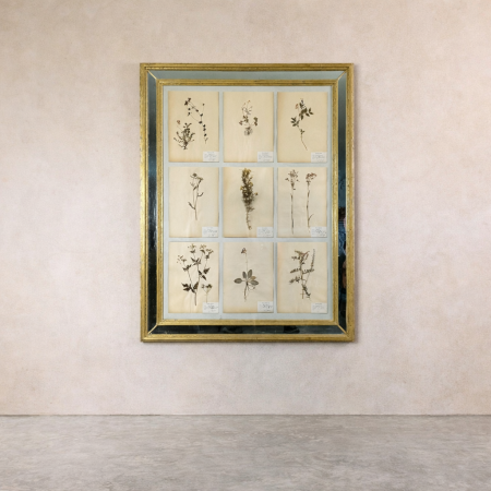 Large Gilt and Mirror Framed Pressed Flowers