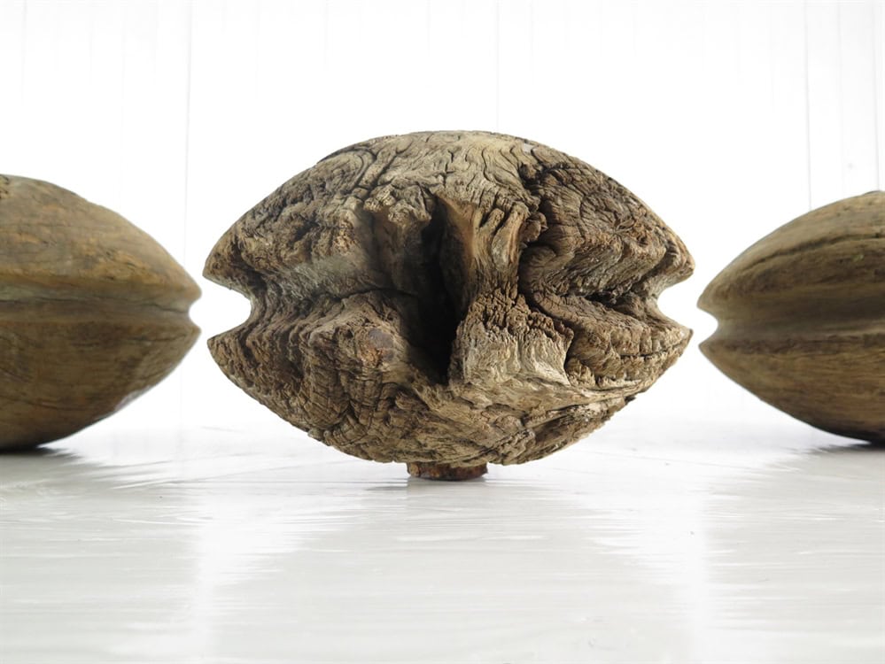 C19th Pulley Wheels - Image 7