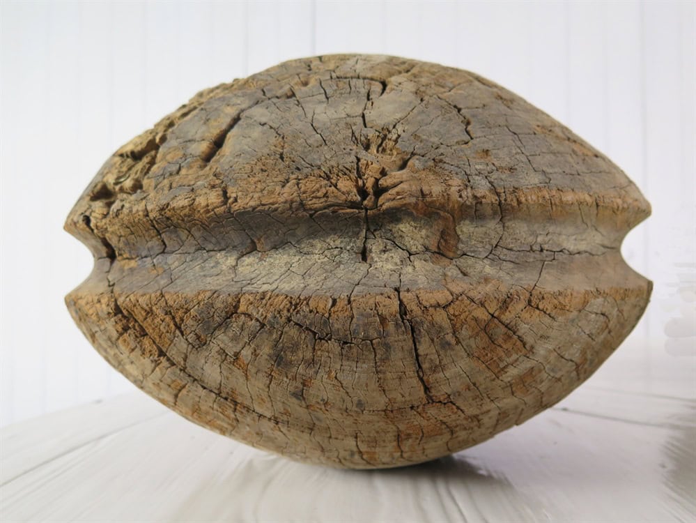 C19th Pulley Wheels - Image 3