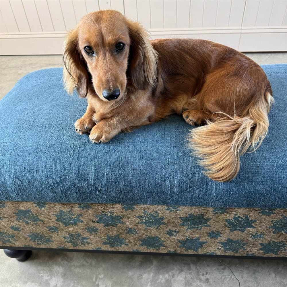 Blue Stars Bench - Image 8