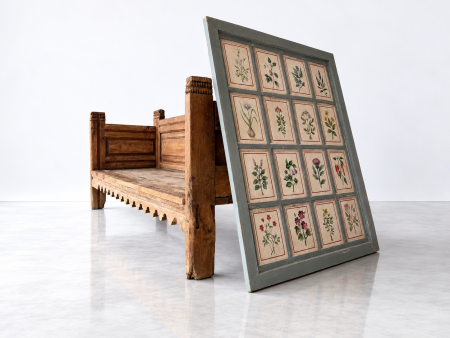 Elisa’s Painted Botanicals