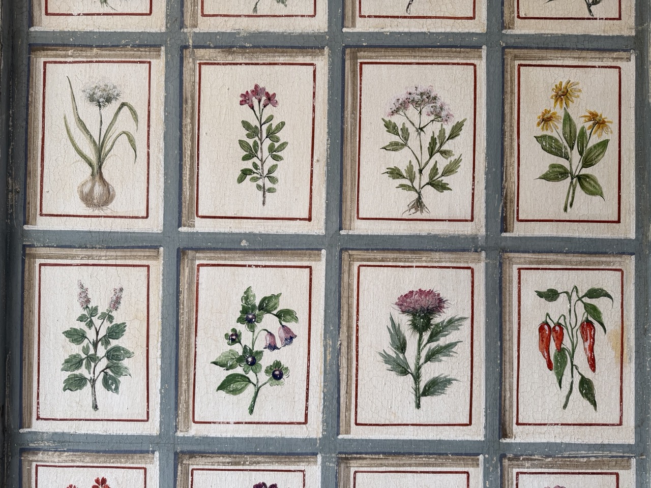 Elisa's Painted Botanicals - Image 8