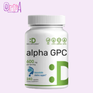 Deal Supplement Alpha GPC 600mg Per Serving Bioavailable Choline Replenishment –Nootropic Brain Health Supplements for Memory and Focus 240 Capsules