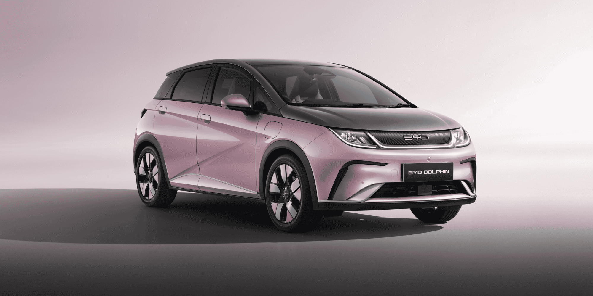 BYD Dolphin Second Banner