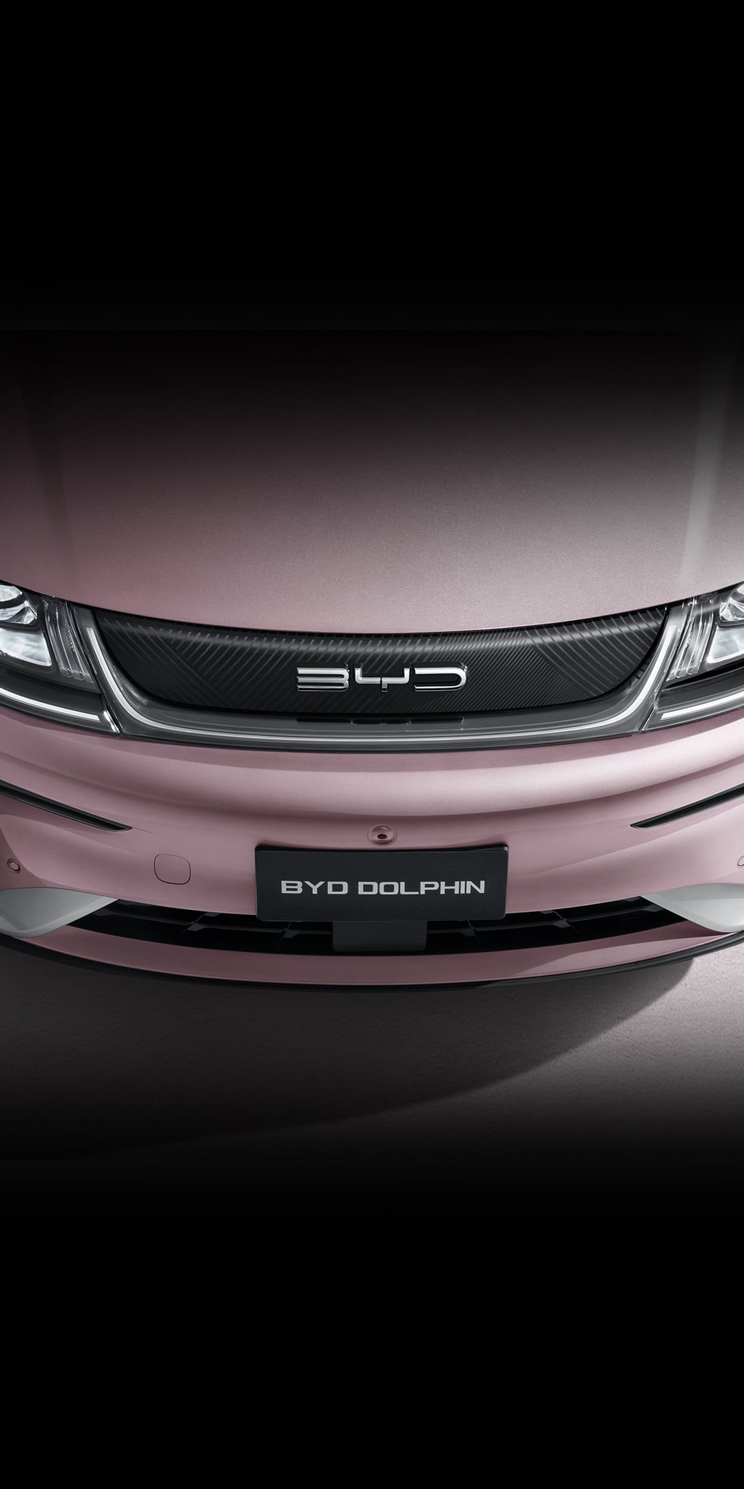 Bagian Depan BYD Dolphin