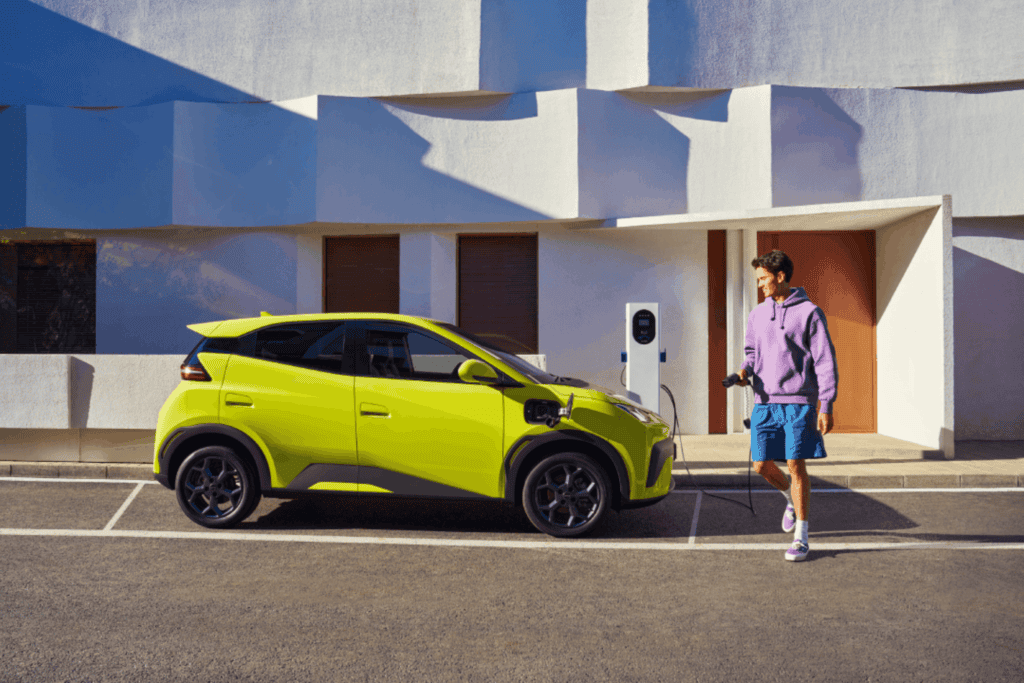 Pengisian Daya Cepat BYD Atto 1