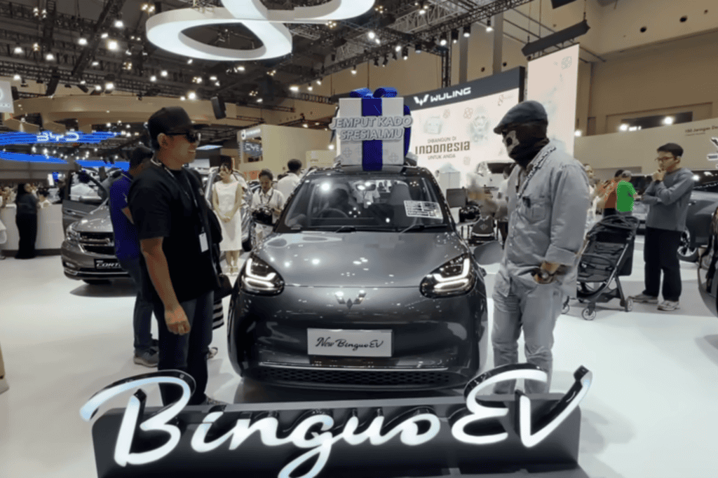 Atto 1 VS New Binguo EV