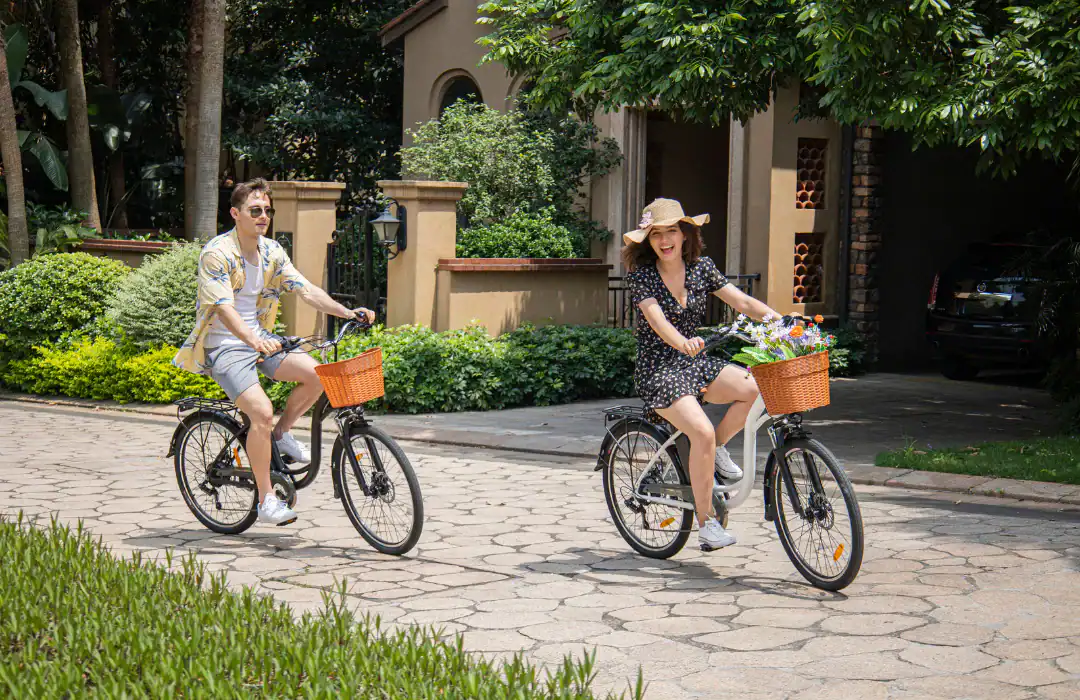 DYU C6 26 calowy Miejski Rower Elektryczny