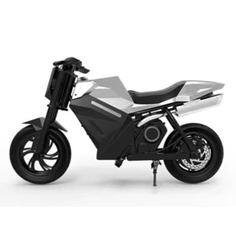 Mini motor elektryczny Paonago ADV-250