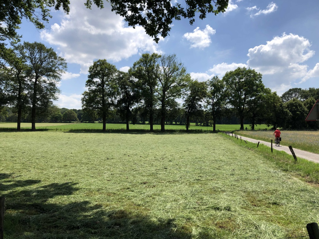 Genomen op de kruising van de Levendaalseweg en de Cuneraweg.jpg