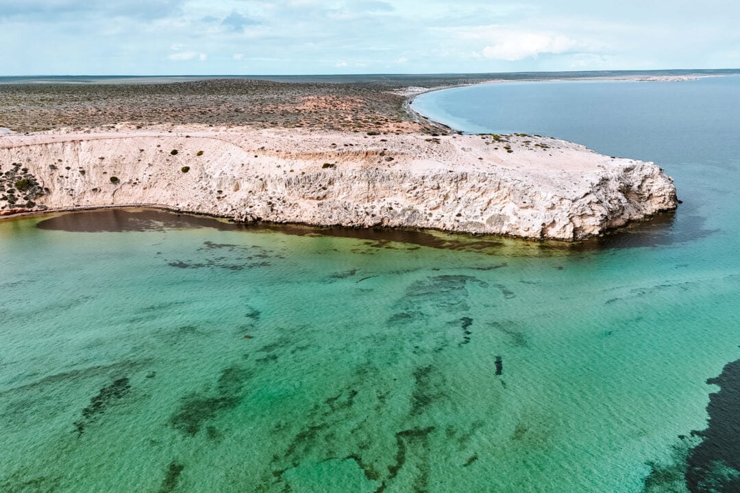 Eagle Bluff, Shark Bay