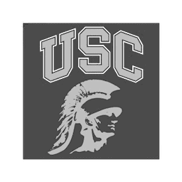 Outcome Driven Solutions logo featuring USC Trojan helmet, emphasizing strategic, results-oriented approach in business and organizational growth.