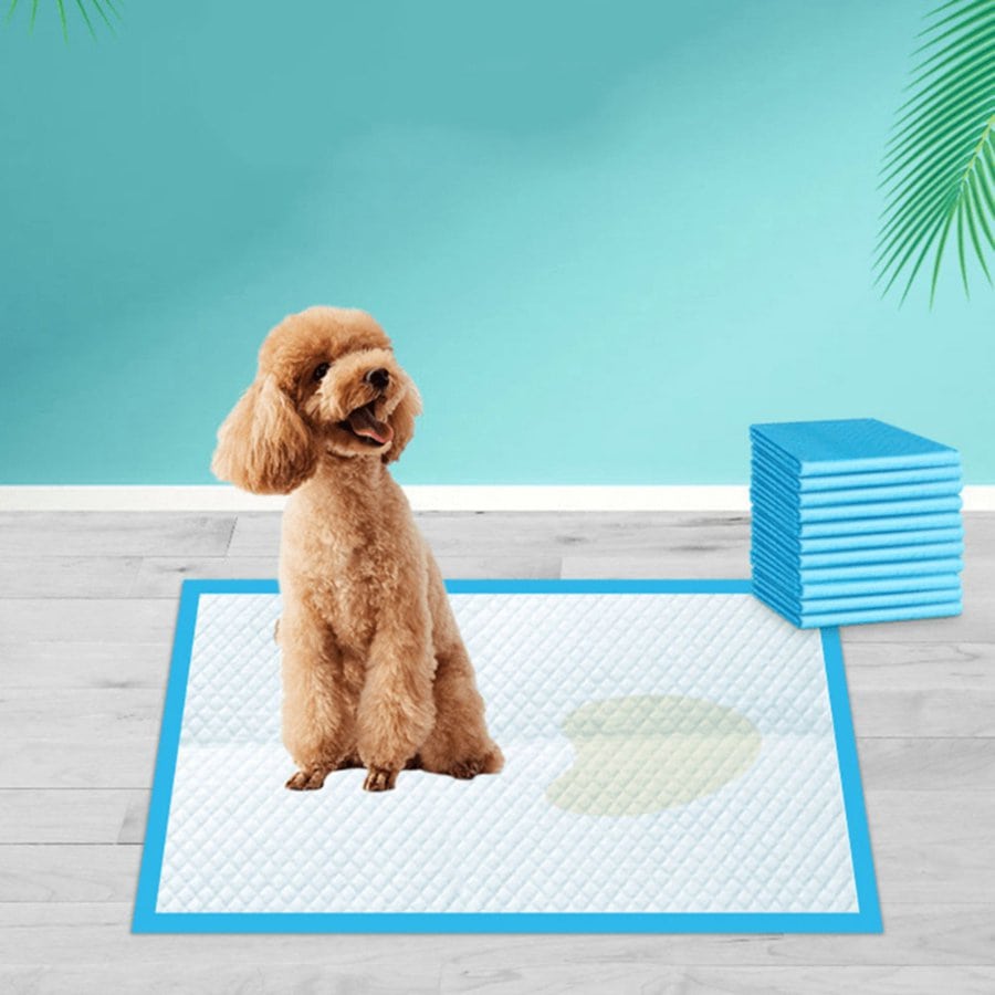 Tapete Entrenador para Mascotas, Desechable y Super Absorbente - 150 Piezas