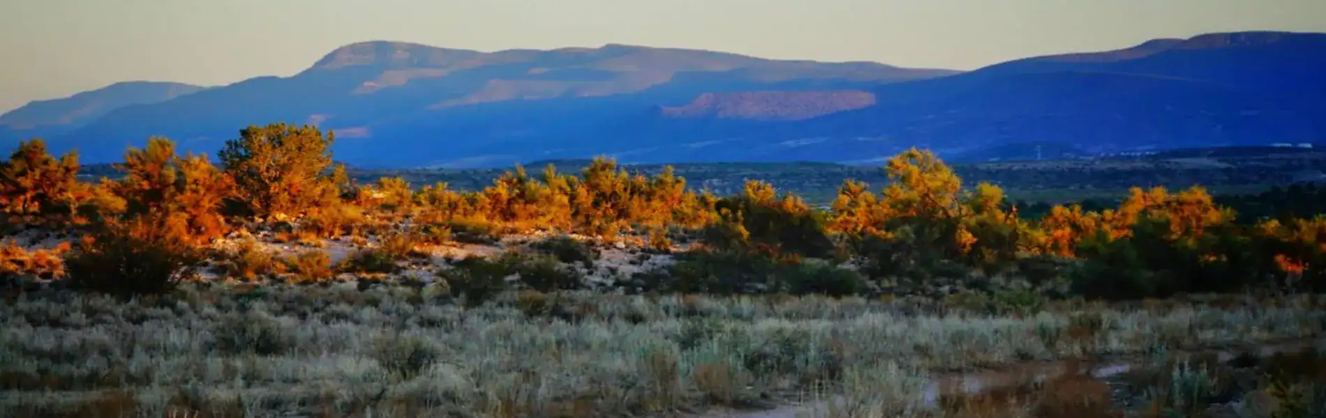 a view on Cottonwood, AZ