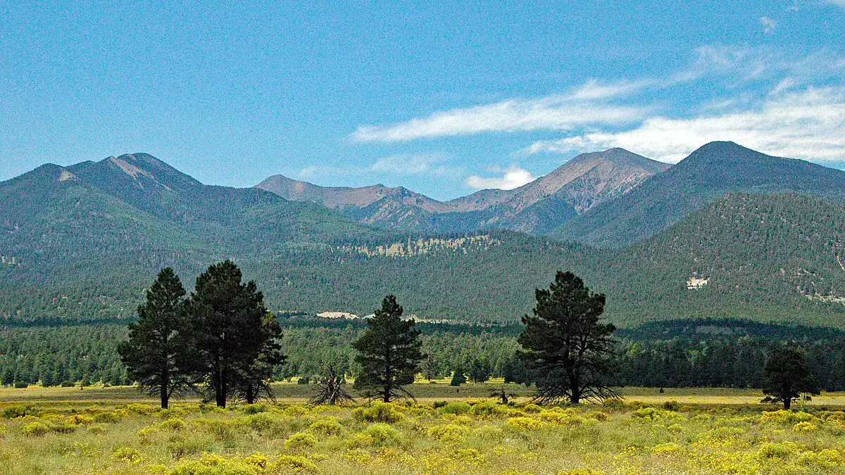 7 Best Things to Do in Flagstaff AZ for a Fun Getaway