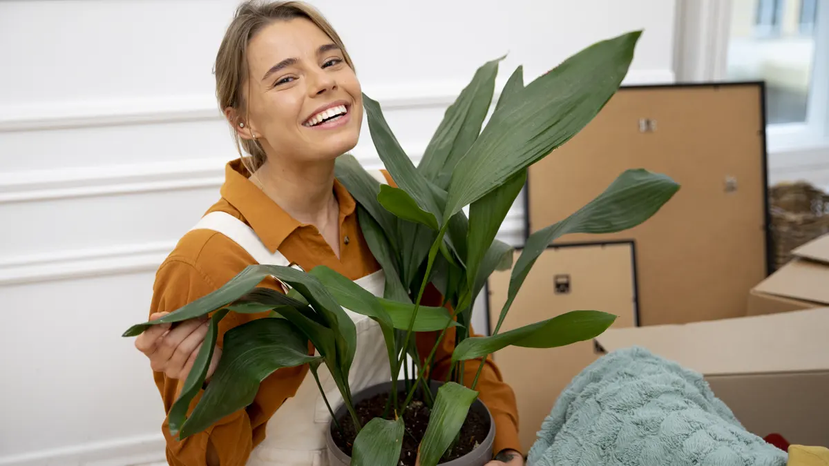 How to Move Plants Safely: Expert Guide