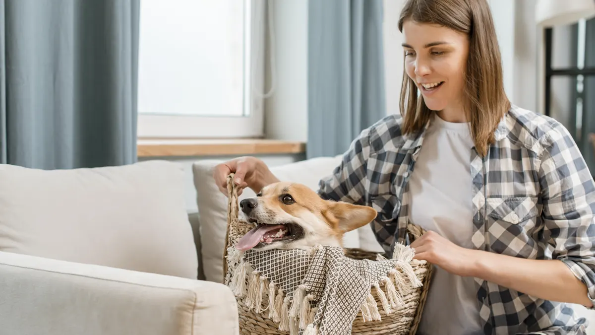 Essential Guide to Moving with Pets