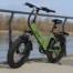 Rower elektryczny OVIVO NEO C1 PRO zielony