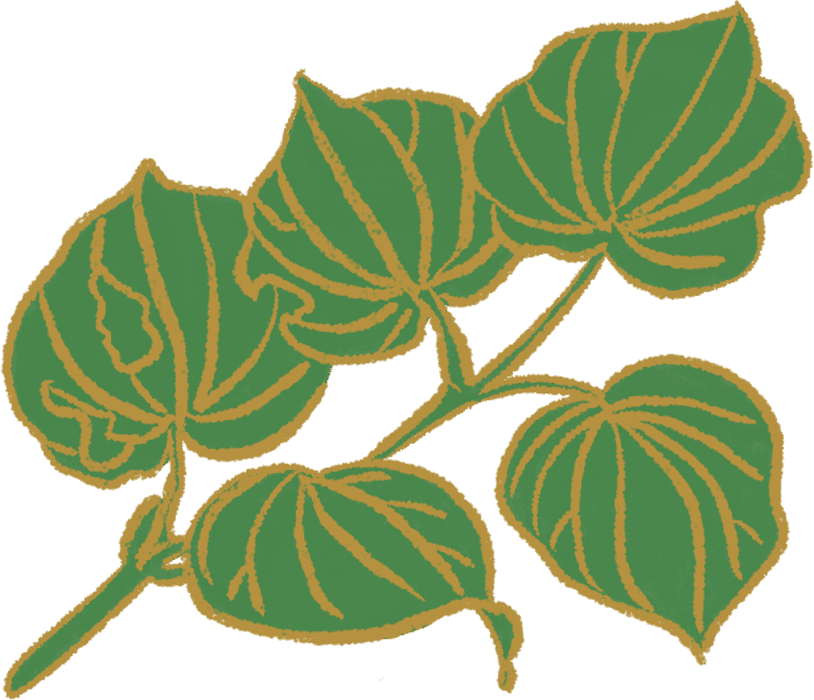 Kawakawa