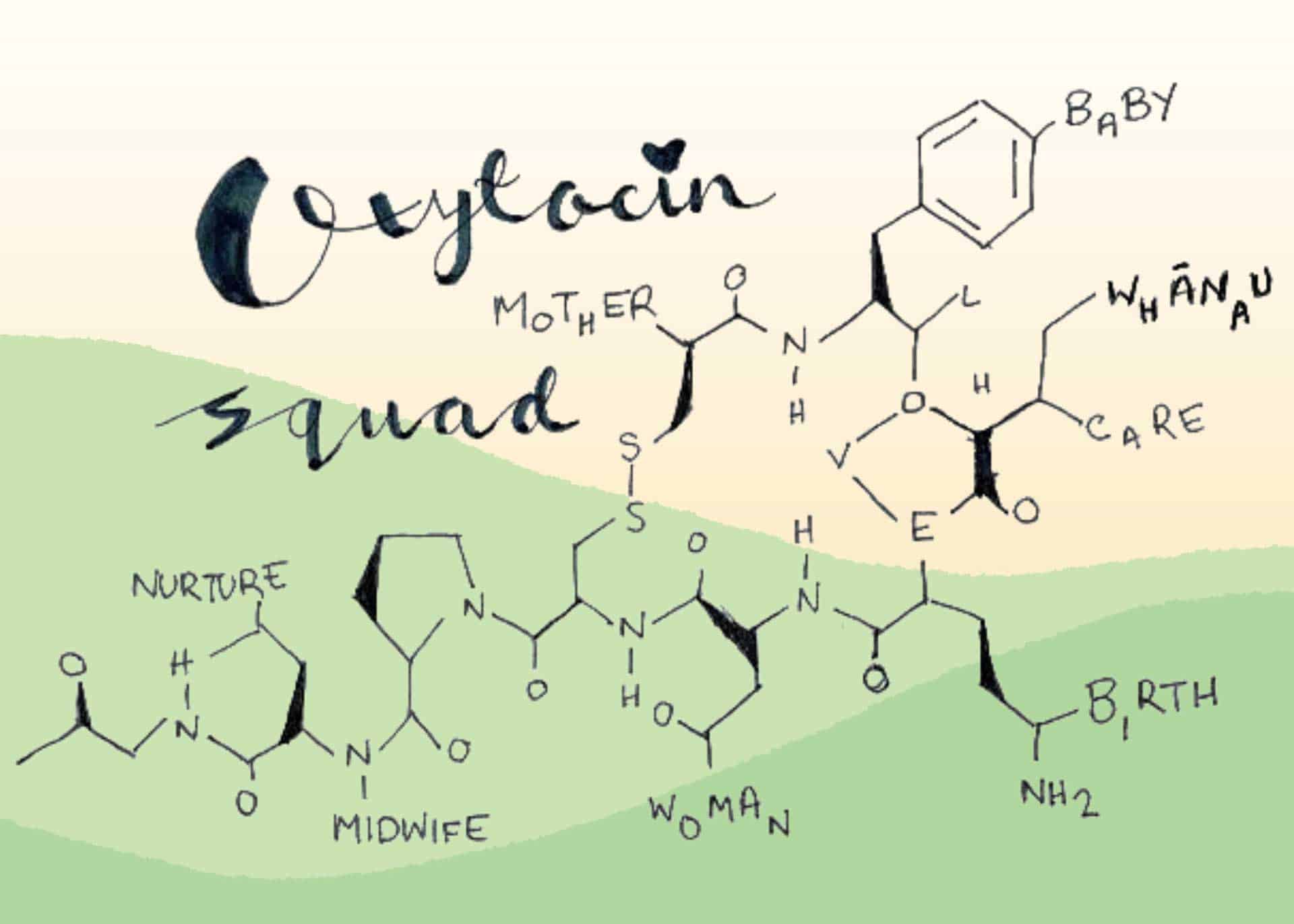 Volunteer Page Oxytocin Image