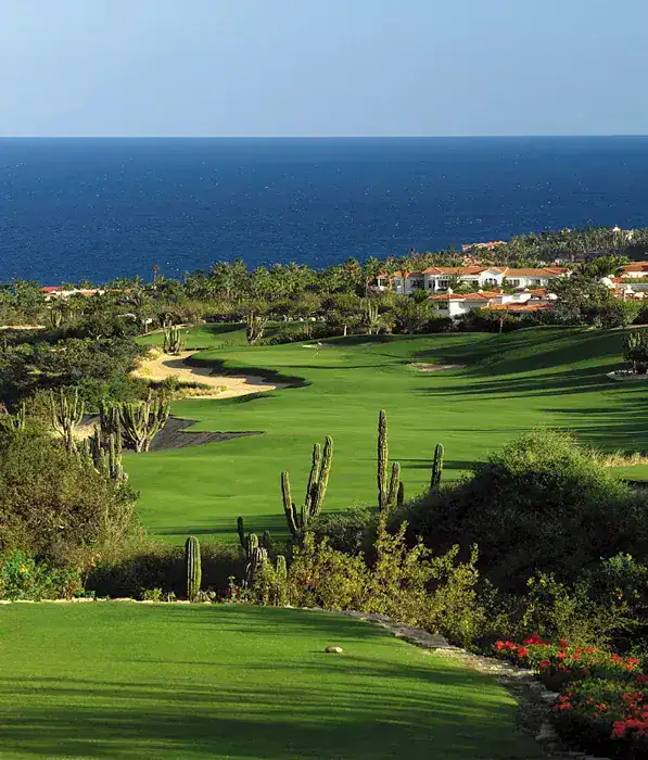 Palmilla Golf Course Arroyo 1 – Palmilla Real Estate