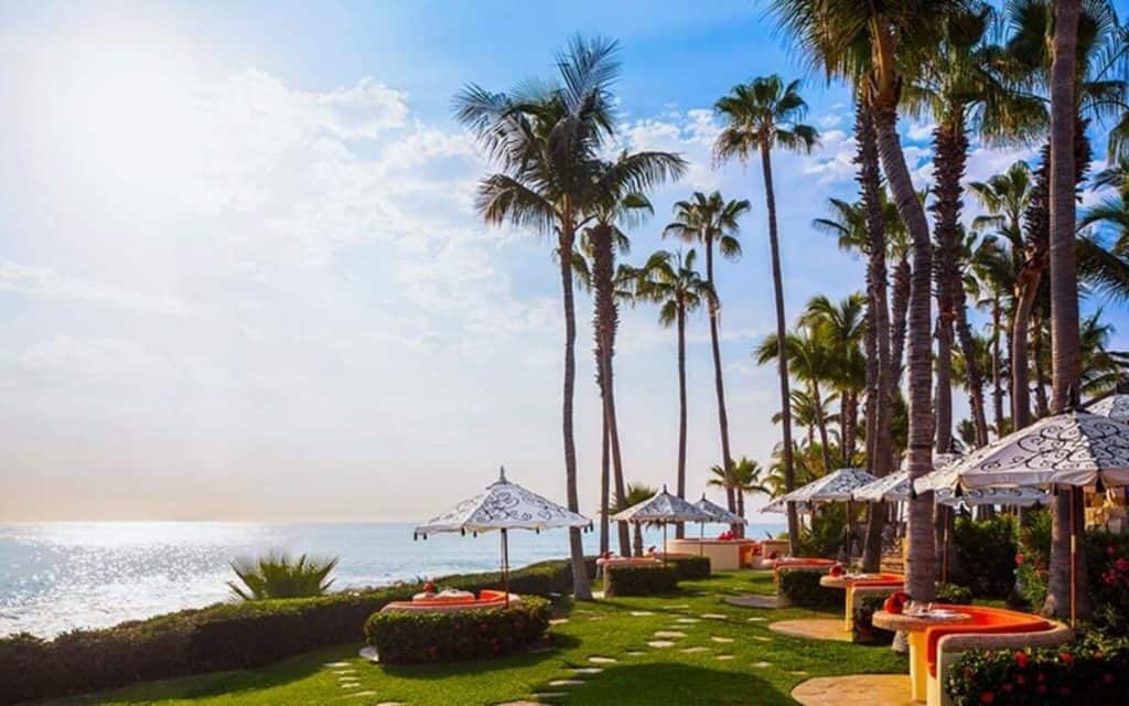 Palmilla Beachfront Resort With Lush Palm Trees, Outdoor Seating, And Ocean Views For A Luxurious Tropical Getaway.