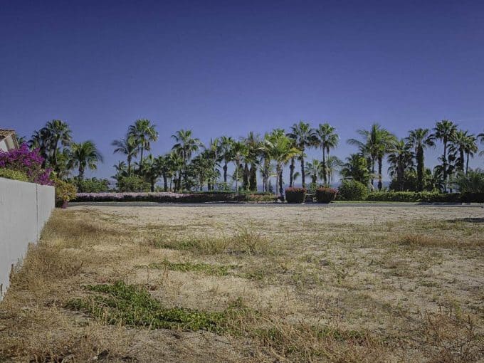 Palmilla Ocean View Lot With Lush Palm Trees And Clear Blue Sky, Perfect For Building Your Dream Home In Cabo.