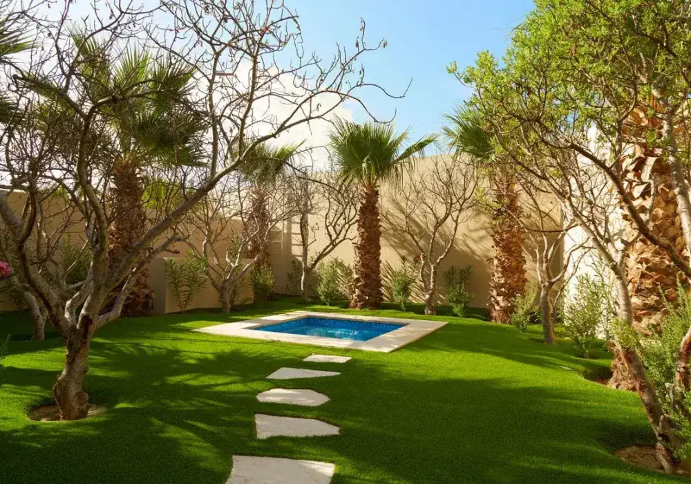 Fitness And Wellness – Homes For Sale In Palmilla Lush Palmilla Garden With Palm Trees, Leafless Trees, And A Small Pool, Creating A Serene Outdoor Space Perfect For Relaxation. Bright Sunlight Highlights The Vibrant Green Grass And Tropical Landscaping.
