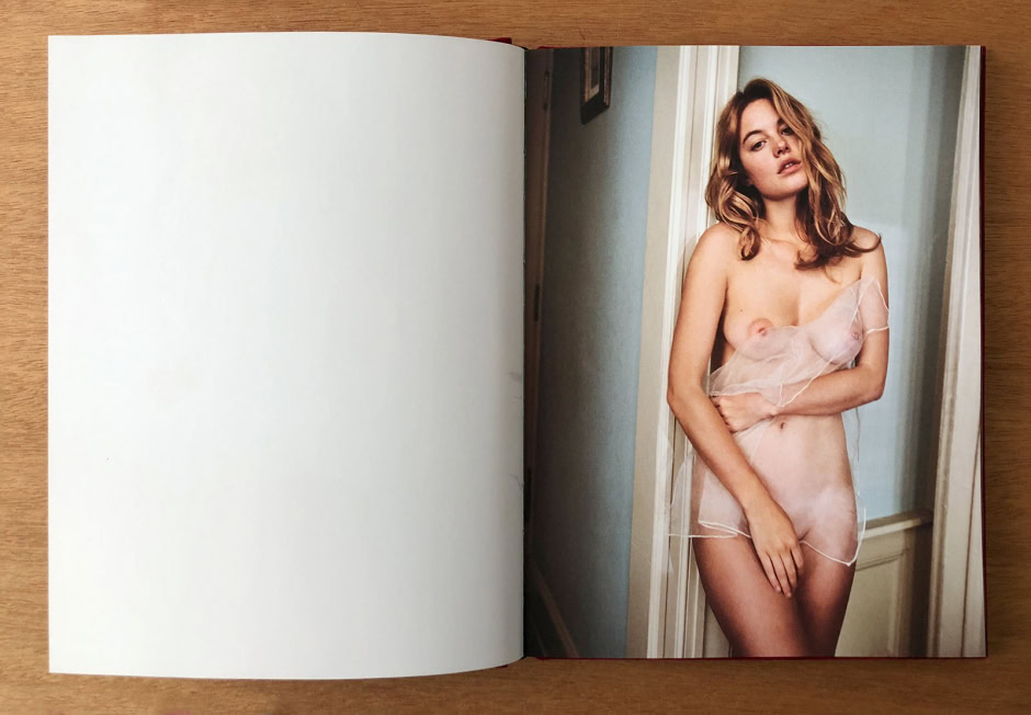 Elegant portrait of a young woman with wavy blonde hair, posing partially nude with sheer fabric, in a classic interior setting - artistic, fashion, and fine art photography.