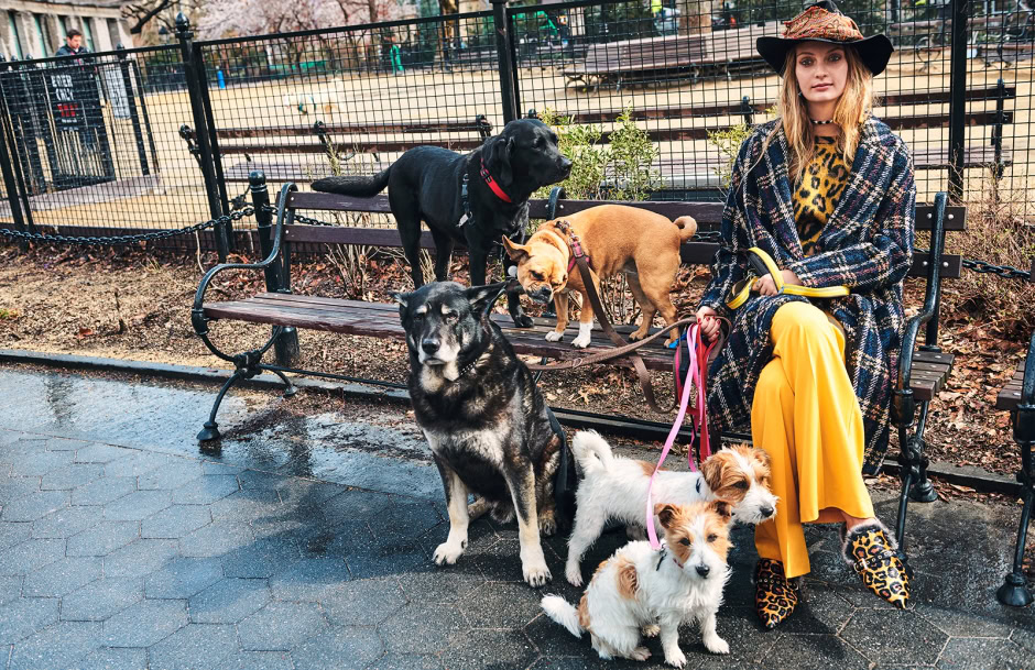 Dogs and woman sitting on park bench, outdoor park setting, Pamela Hanson Photography, street style fashion photography, women with multiple dogs on leashes in city park, fashionable woman with leopard print shoes and colorful outfit, candid portrait outdoors, lifestyle dog photography relevance.