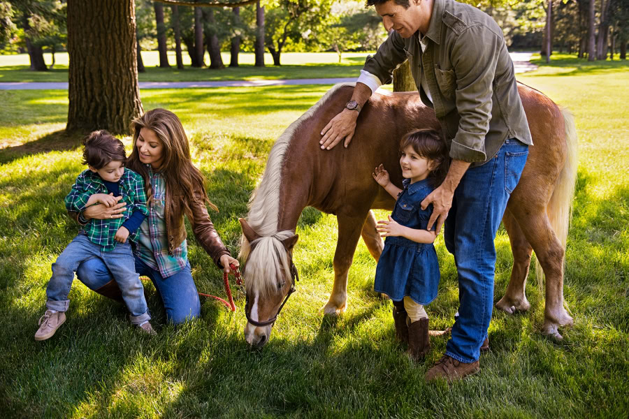 Family enjoying time with a pony in a lush green park, capturing candid moments of kids and adults interacting with a small horse amidst trees and sunlight.